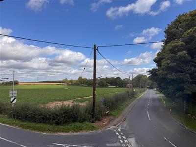 Picture 20